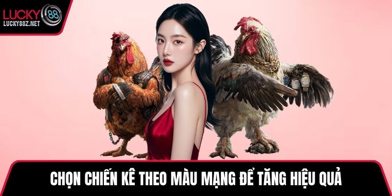Chọn chiến kê theo màu mạng để tăng hiệu quả
