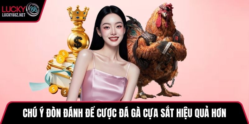 Chú ý đòn đánh để cược đá gà cựa sắt hiệu quả hơn