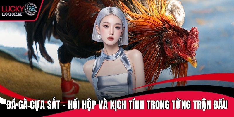 đá gà cựa sắt