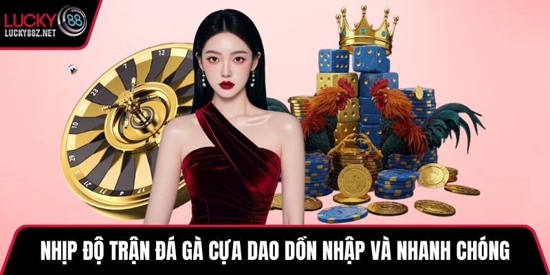 Nhịp độ trận đá gà cựa dao dồn nhập và nhanh chóng