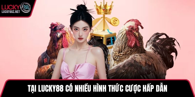 Tại LUCKY88 có nhiều hình thức cược hấp dẫn
