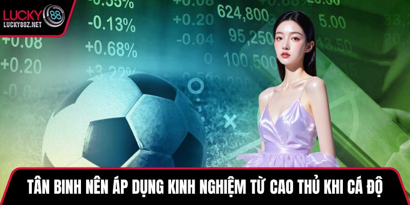 Tân binh nên áp dụng kinh nghiệm từ cao thủ khi cá độ
