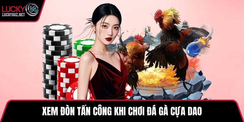 Xem đòn tấn công khi chơi đá gà cựa dao